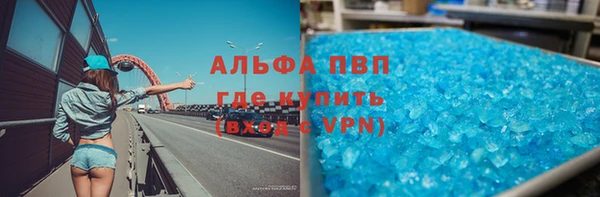 PSILOCYBIN Вязьма