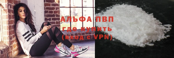 PSILOCYBIN Вязьма