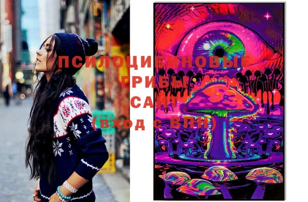 PSILOCYBIN Вязьма