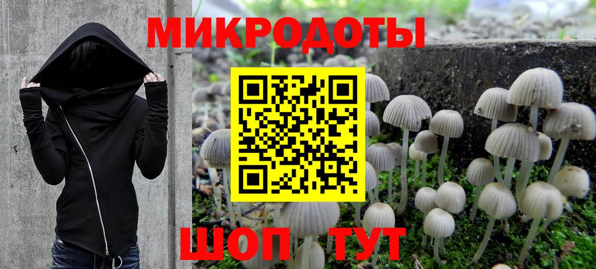 Галлюциногенные грибы Psilocybine cubensis  Вход с VPN  Псилоцибиновые грибы MAGIC MUSHROOMS  Димитровград 