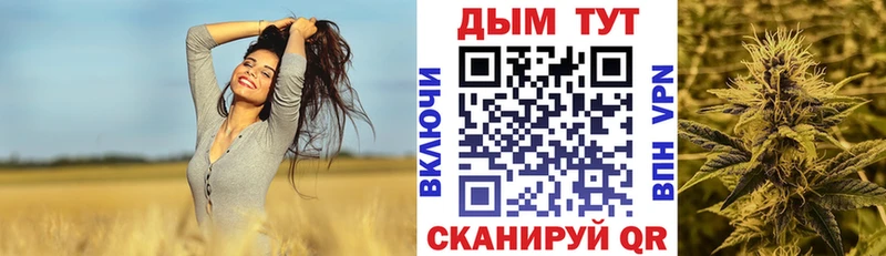 Купить  Димитровград  Бошки марихуана план 